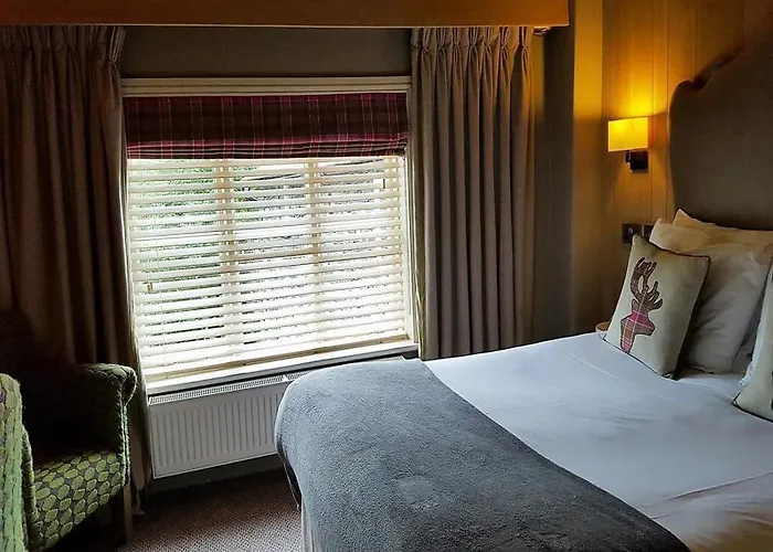 Queens Head & Restaurant Guest house